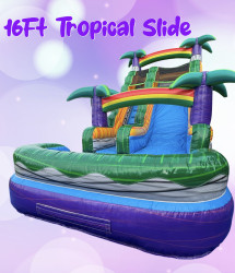 Wet Rental 16FT Tropical Slide